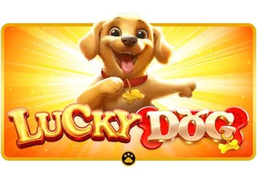 6svi Live Casino provider terkemuka Evolution dan Pragmatic Live tersedia lengkap